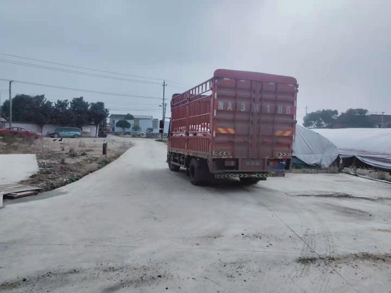 专业桥梁高强度灌浆料厂家